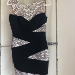 BCBG Mini Cocktail Dress Lace Knit
